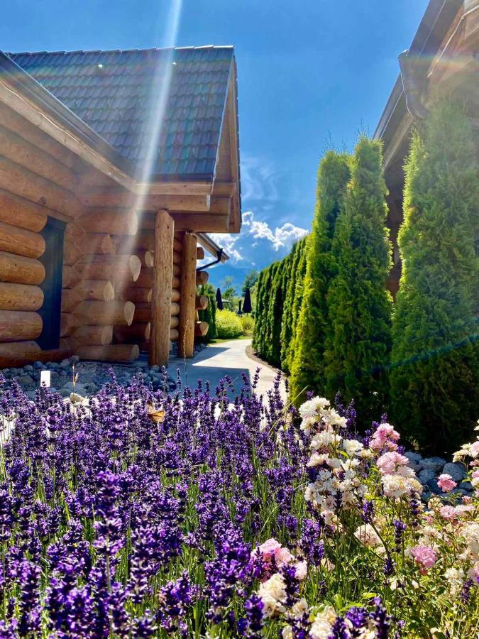 Alpina Luxury Chalets Banya  Dış mekan fotoğraf